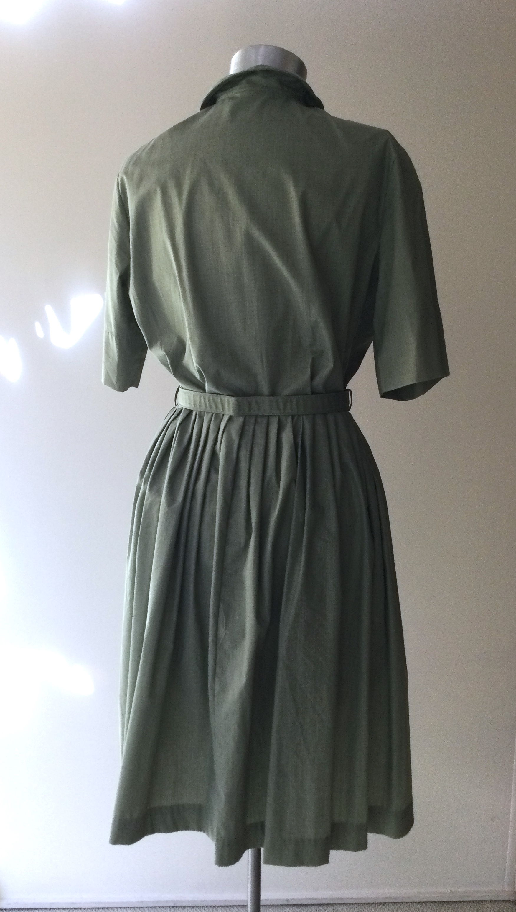 the back